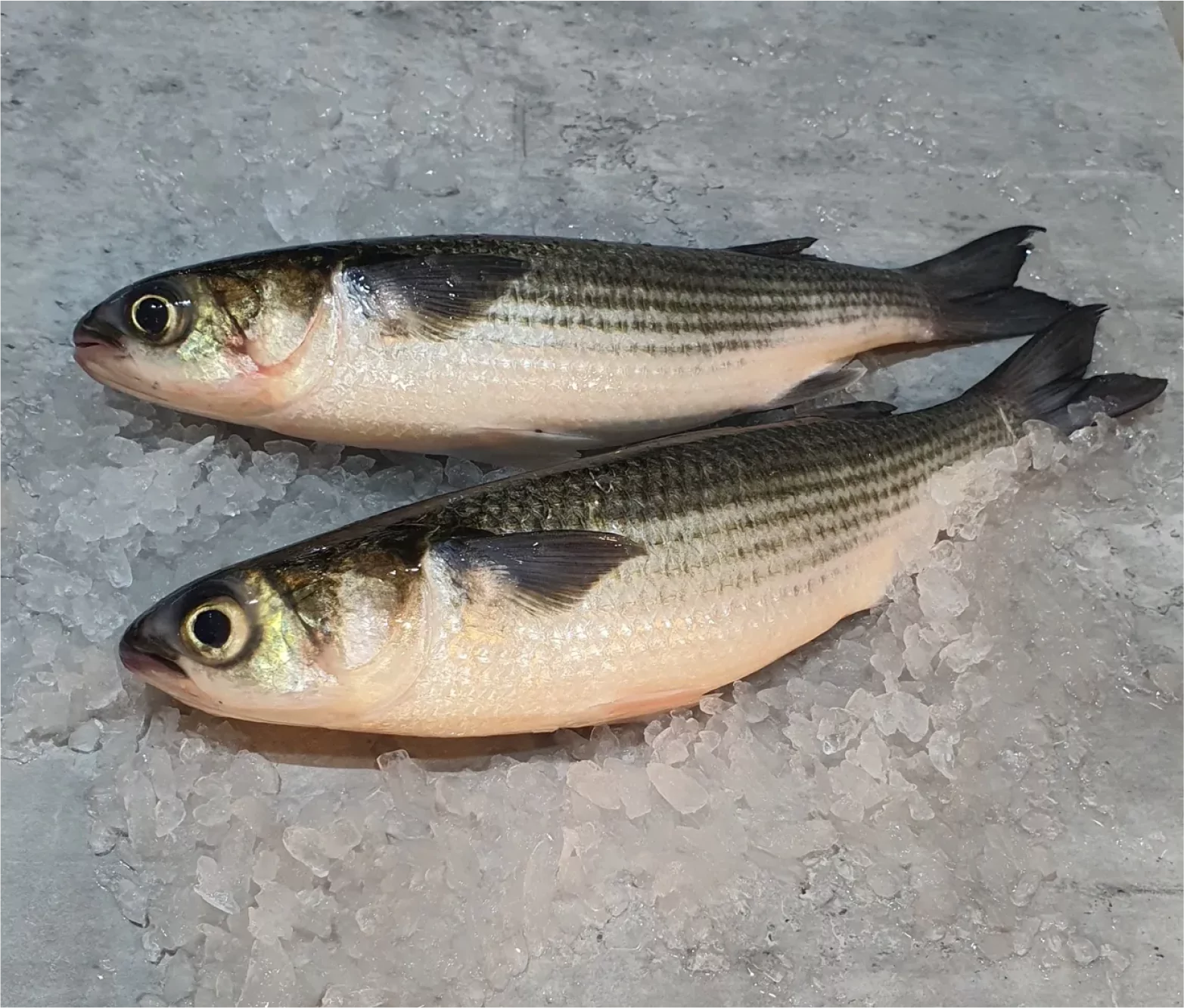 Juliya Seafood | Product Image 3