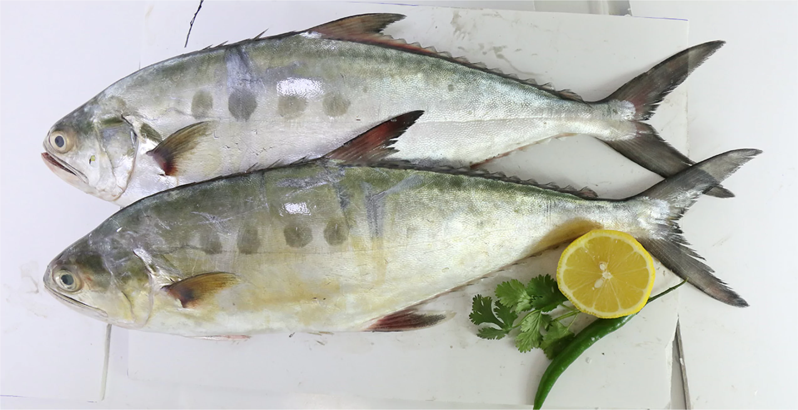 Juliya Seafood | Product Image 3