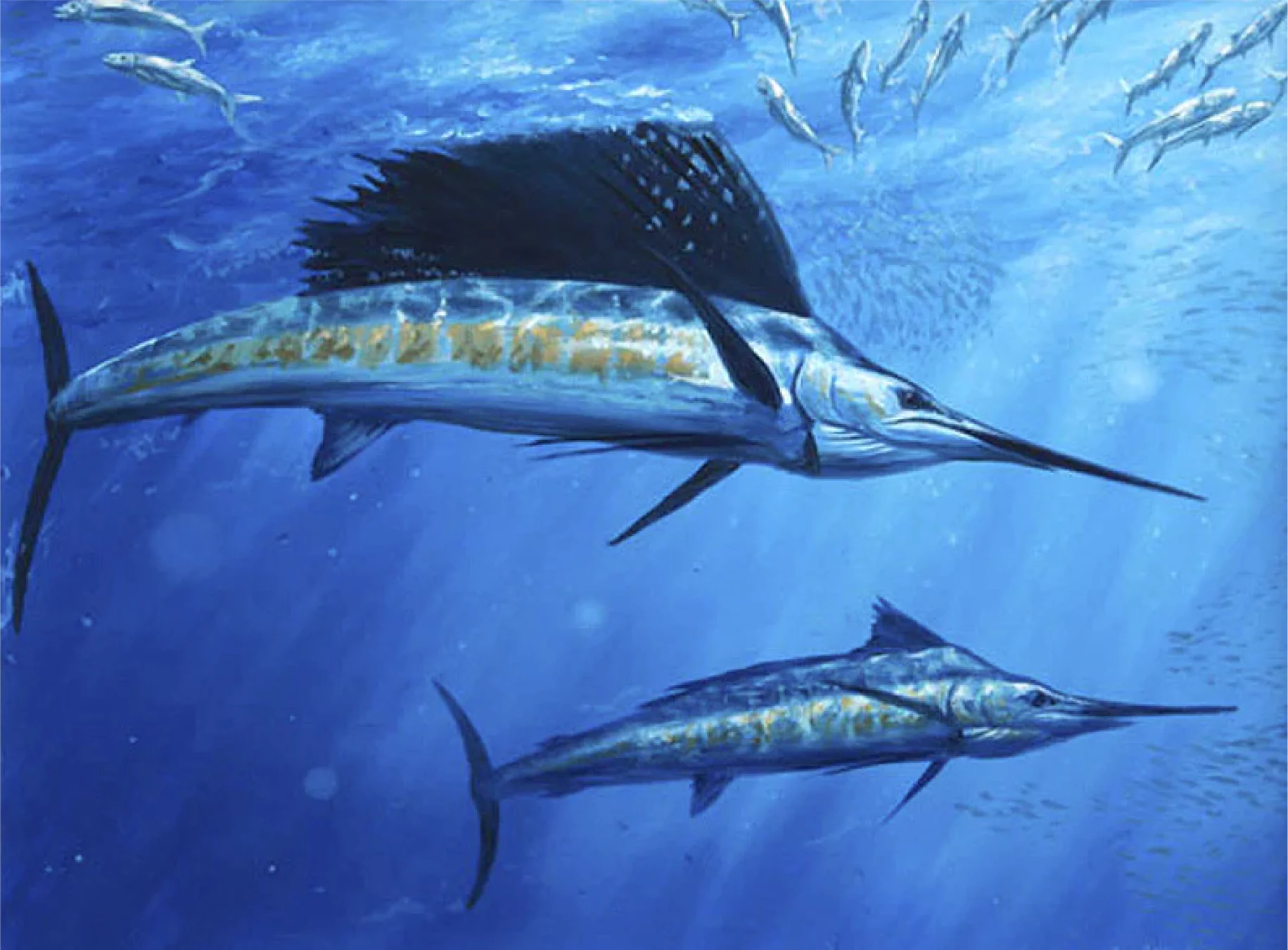 Juliya Seafood | Product Image 3