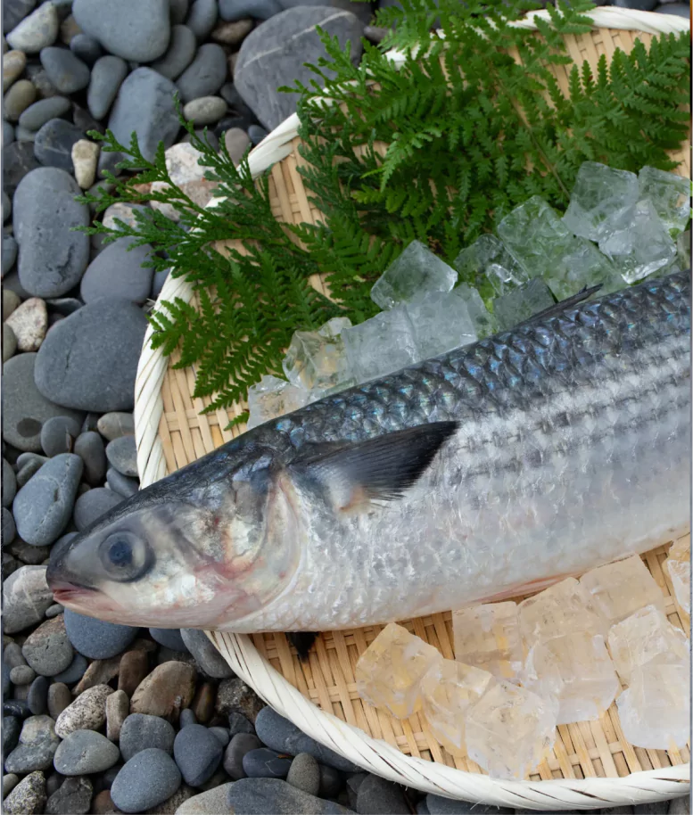 Juliya Seafood | Product Image 1