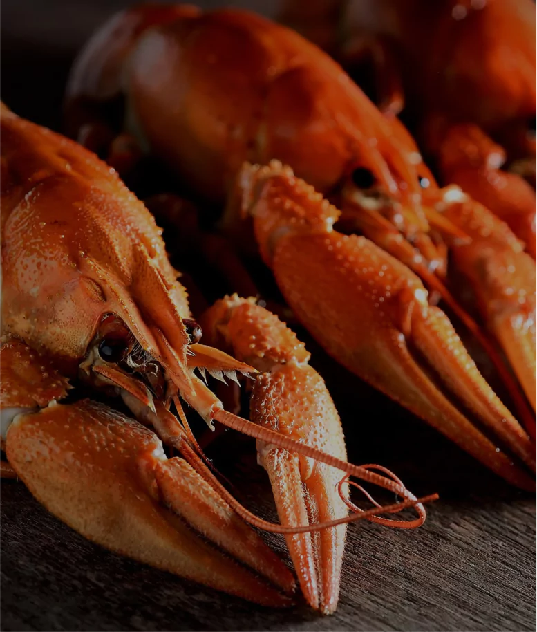 Juliya Seafood | Product Image 1