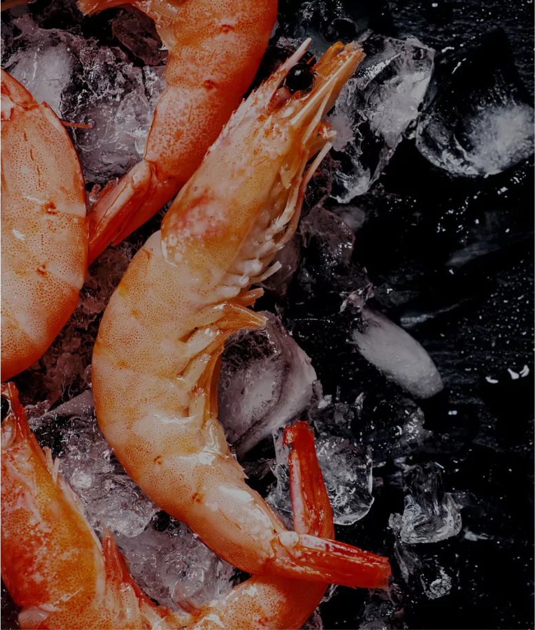 Juliya Seafood | Product Image 1